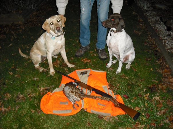 hunting pheasants with my scott and pups, outdoor living, Girls with my pheasant