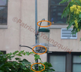 bird feeder pole systems bird feeder pole systems