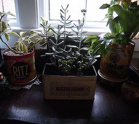 stereo station, flowers, gardening, home decor, repurposing upcycling, Vintage tins become flower pots