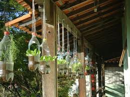 recycled gardener, gardening, repurposing upcycling, Recycled garden Reusing plastic soda bottles to create a hanging salad garden