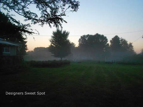 august garden, gardening, Our nights are getting colder here in WI but the days are still warm Hence the mist this morning