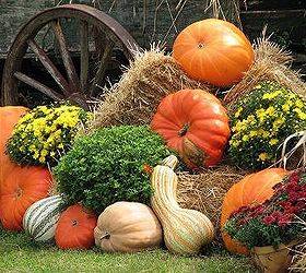 fall decor ideas, seasonal holiday decor, I love mixing pumpkins gords mums and even pansies in a vignette like this with a corn stalk propped up against our trees in our planter of our front yard