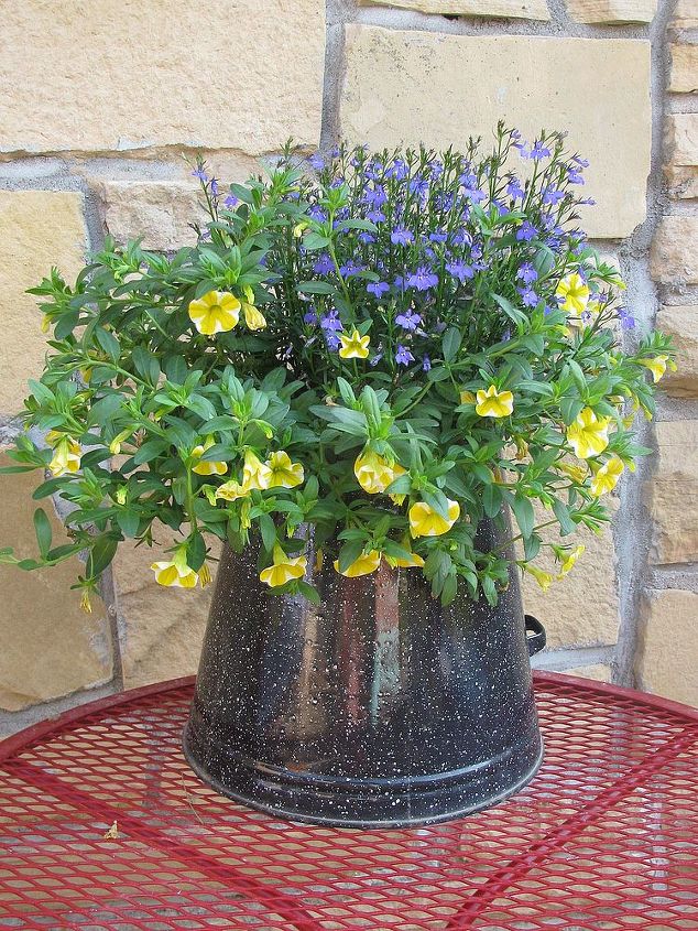 budget patio decorating, outdoor living, patio, repurposing upcycling, seasonal holiday decor, Old coffee pot is a great planter and one of my faves