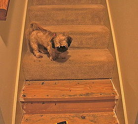 stairway to heaven we removed our old stained carpet and updated with paint pattern, home decor, painting, stairs, Pulling up the old carpet