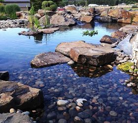 pond makeover on 15 year old pond installation, outdoor living, ponds water features, Where we ended