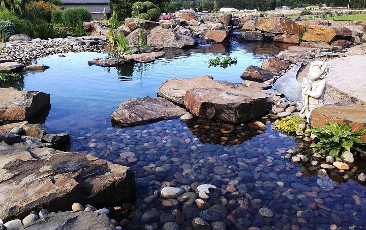 pond makeover on 15 year old pond installation, outdoor living, ponds water features, Where we ended