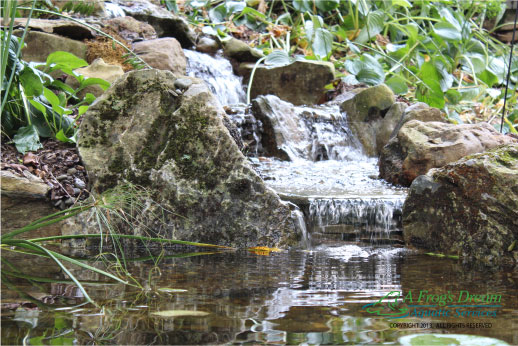 ecosystem pond ideas, go green, ponds water features, Ecosystem Fish Pond Long Valley NJ