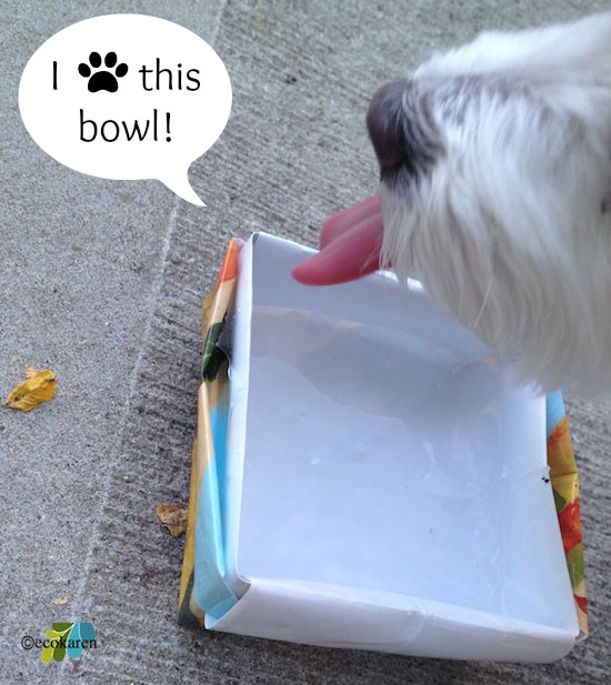 dog food water bowl made with dog food bag, repurposing upcycling