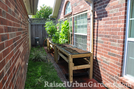 the benefits of raised urban gardening, gardening, homesteading, urban living, 4 Great for small yards apartment balconies town homes and condos
