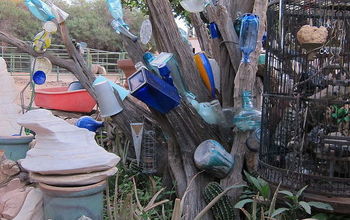 Collection of glass vases and pots made into a Bottle Tree.  Drought resistent.