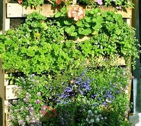 creative recycling with wooden pallets, gardening, home decor, pallet, repurposing upcycling