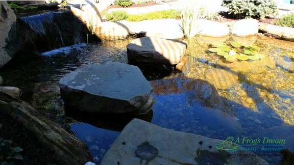 ecosystem pond ideas, go green, ponds water features, Ecosystem Fish Pond with Floating Rocks Mahwah NJ