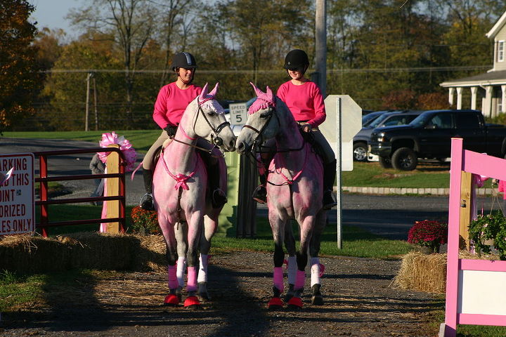 ride for cure 2012, outdoor living, pets animals, Twp Pinked up girls at the starting point