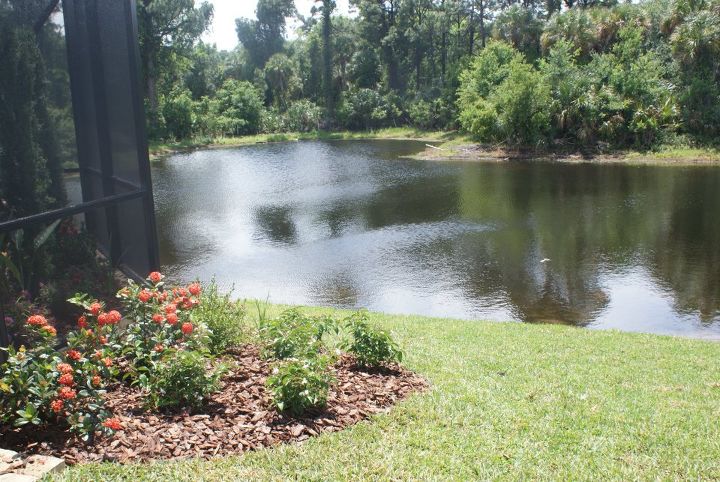 new pictures, gardening, outdoor living, ponds water features
