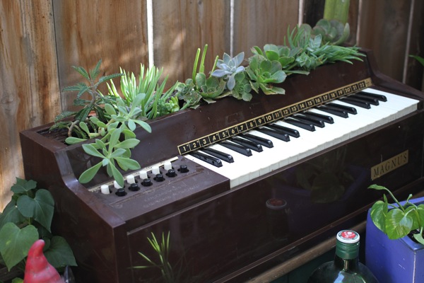 piano turned potter for plants on my patio, flowers, gardening, repurposing upcycling, succulents