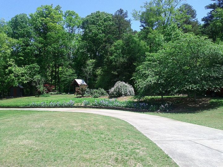 garden tour, Part of the front yard