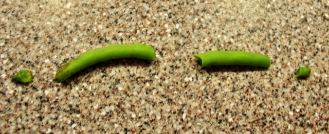 how to freeze green beans from the garden, gardening, Break the ends off the beans Then break the bean in half