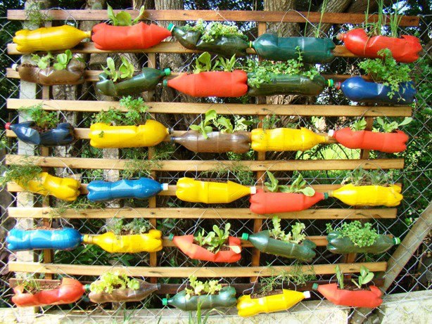 colourful bottle planters, gardening, pallet, repurposing upcycling