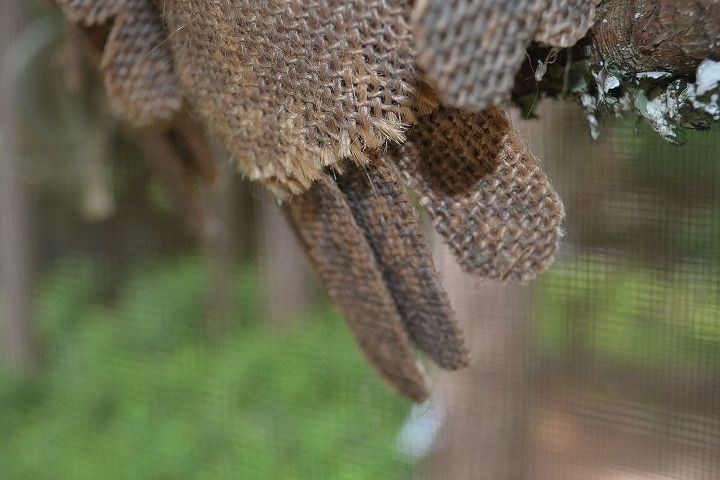 burlap owls on a lichen branch swing, crafts, repurposing upcycling