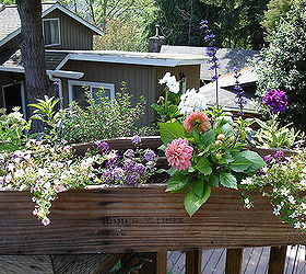 repurpose a vintage tool box into a planter, flowers, gardening, repurposing upcycling, My after shots are not the best in the bright light and it s really heavy now so hard to move to a better location lol