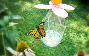 Make A DIY Butterfly Feeder In 6 Easy Steps