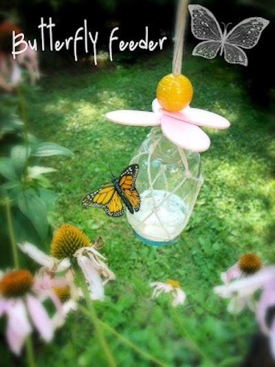 make a diy butterfly feeder in 6 easy steps, Using your nail and hammer punch a small hole in the lid of the jar You re going to be cutting your sponge and you want your sponge to fit tightly through the hole so keep it small You can always make it bigger as necessary