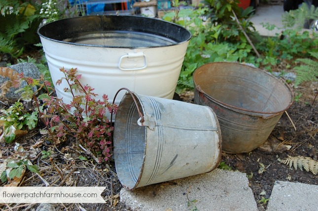 buckets of flowers, flowers, gardening, Various sized buckets