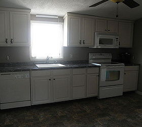 painting oak kitchen cabinets, cabinets, painting, i was going to get stainless steel but the white blends in good