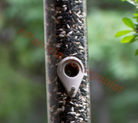 the back story part one of tllg s rain or shine feeders, outdoor living, pets animals, Food from the Droll tube feeder was ULTIMATELY enjoyed by many a bird as evidenced from the photo ops