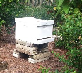 i m a beekeeper now, outdoor living, pets animals