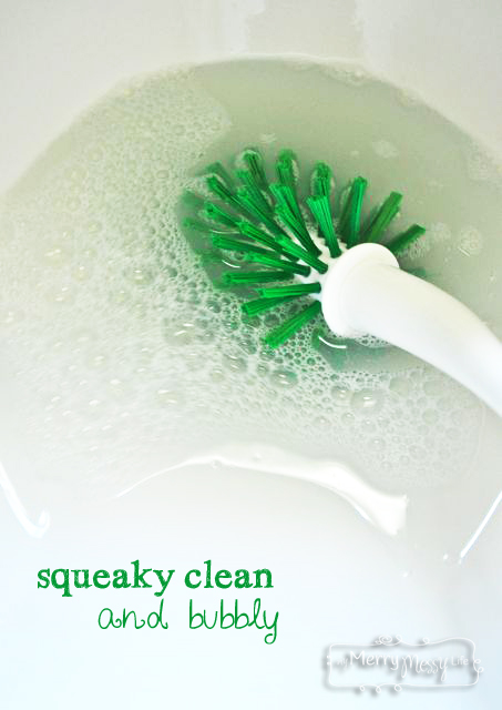 homemade non toxic toilet bowl cleaner, bathroom ideas, cleaning tips, go green