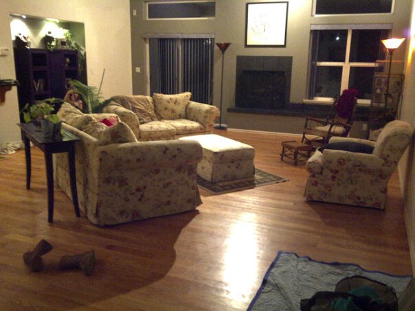dividing an open floor plan, home decor, These are a few of our couches and our occasional table Interestingly we got all for 150 and the chair was found for free on craigslist the day before we found the couch loveseat and ottoman at goodwill Bookcases are still there