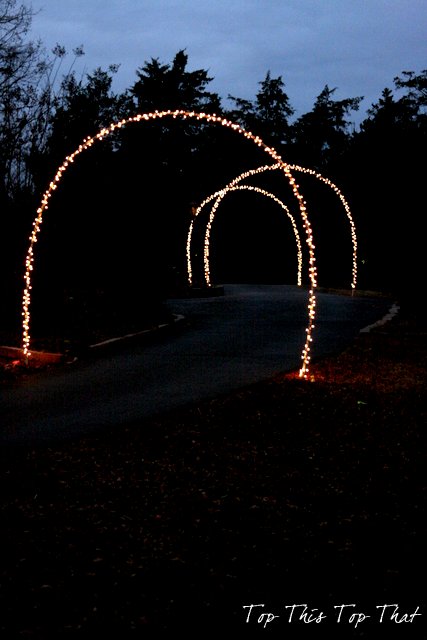 luzes e arcos de natal ao ar livre diy