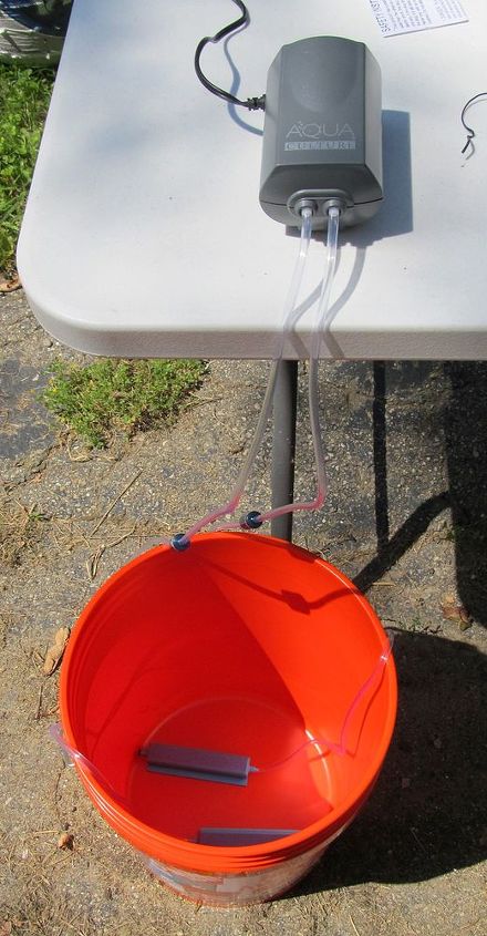 how to make a compost tea brewer, composting, gardening, go green