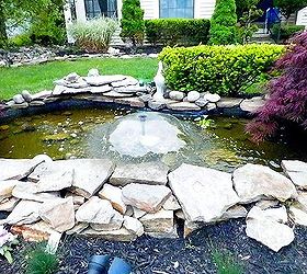 q i need a step down from my pond to the lawn, gardening, landscape, outdoor living, ponds water features