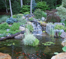 waterscapes create beautiful backyards, TRD Designs created this waterfall and pond