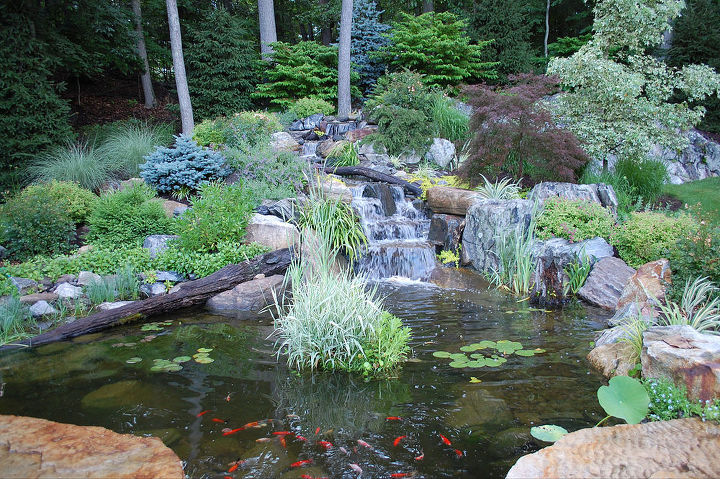paisagens aquticas criam belos quintais, TRD Designs criou esta cachoeira e lagoa