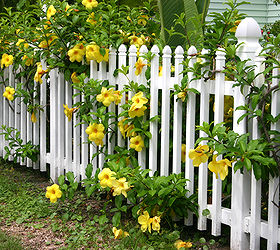 adding a fence to my garden, fences, gardening