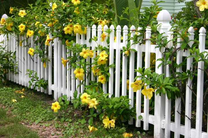 adding a fence to my garden, fences, gardening