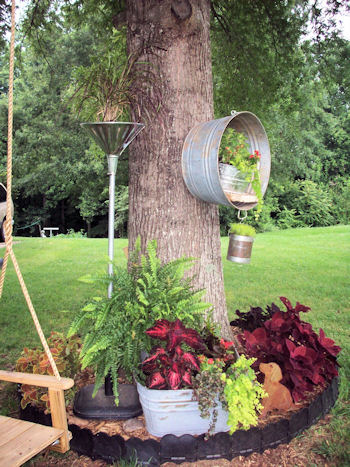 repurposed junk garden, I ran out of space in this tree circle so MWHP My Wonderful Hubby Phil had the idea to move the washtub up way up on the tree itself