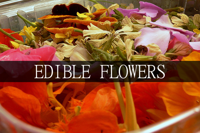 edible flowers, flowers, gardening