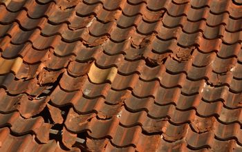 Signs to Show You That You May Need to Replace Your Roof