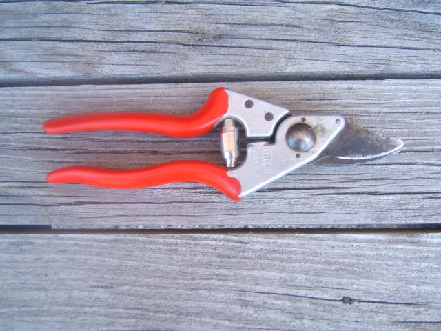 5 of the best garden tools, gardening, tools, Sharpe strong pruners are a necessity