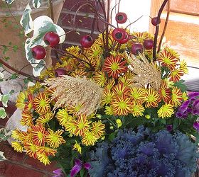 tgif thank god it s fall y all part 2 gardenchat falldecor, container gardening, gardening, seasonal holiday d cor, The front porch is transformed into a jewel box bursting with autumn joy
