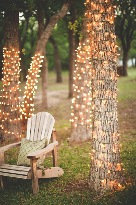 how to wrap lights around trees, diy, how to, lighting, outdoor living, Imagine sitting outside in the evening reading a book under the glow of white Christmas lights