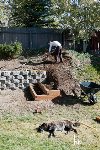 diy landscaping building a retaining wall and garden terracing, gardening, landscape, outdoor living