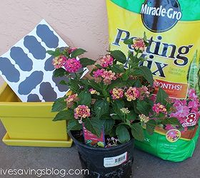 spring flower pot with vinyl chalkboard label, chalkboard paint, container gardening, crafts, flowers, gardening, Supplies needed