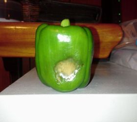 anyone know what this is, container gardening, gardening, Green bell pepper Grown in Richland WA in a container