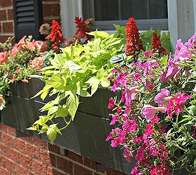the trick to creating gorgeous window boxes, container gardening, gardening, windows