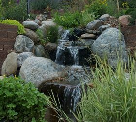 water features through walls, gardening, landscape, outdoor living, ponds water features, wall decor, A 75 stream with several ponds meanders through this Golden Colorado hillside and ends in a beautiful koi pond